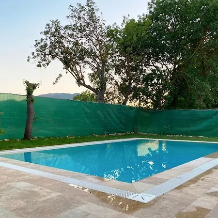 ヴィラ 4 Bedroomwith Private Pool Nature Interwined